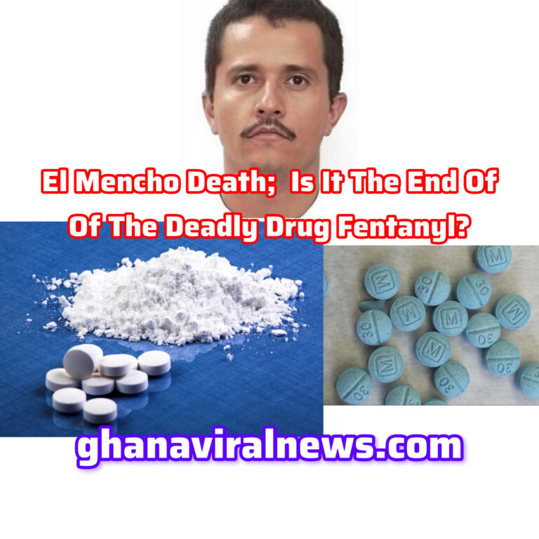 InShot_20260224_231951329